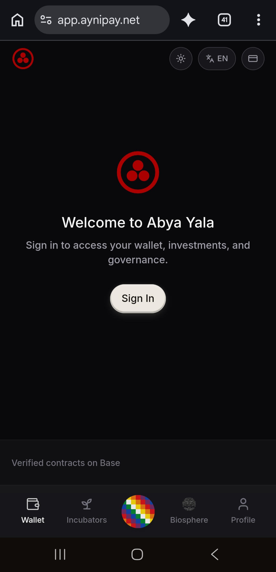 Ayni Pay App Mockup